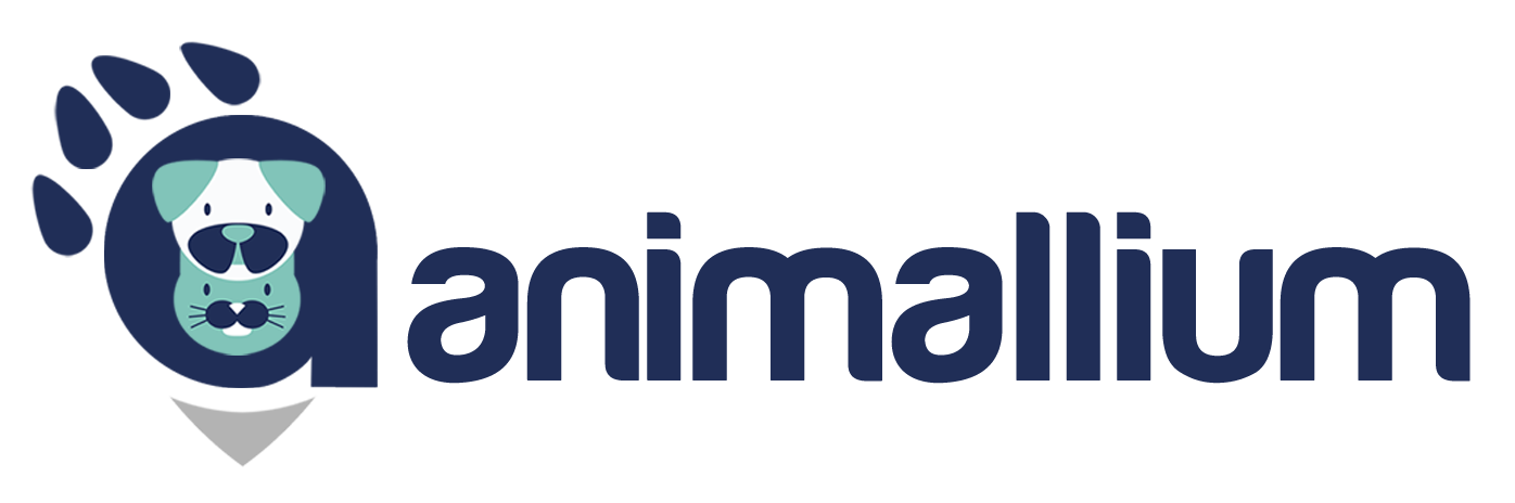 Animallium | Extraviados