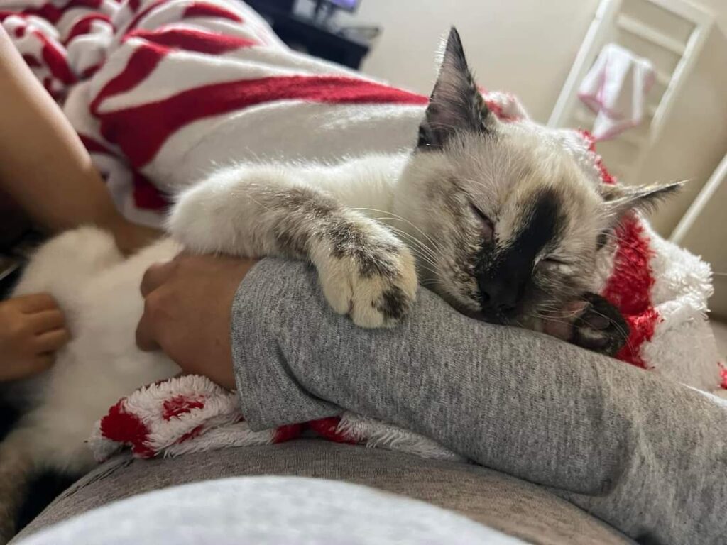 Mia