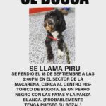 piru