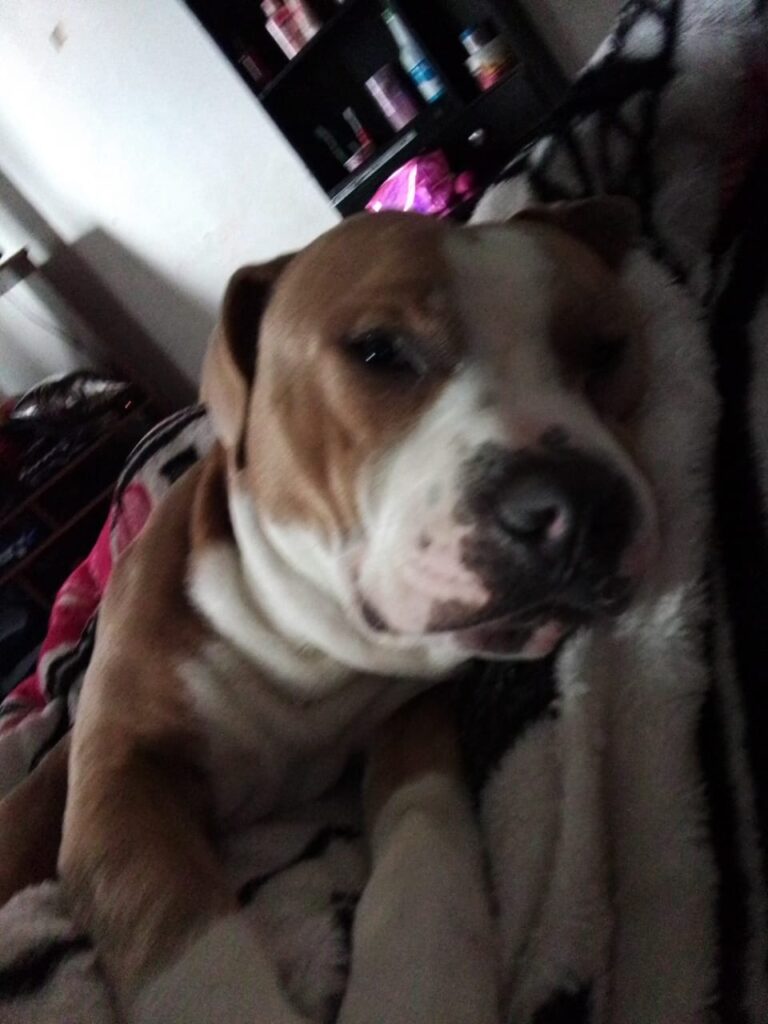 Tayson