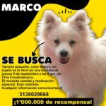 Marco