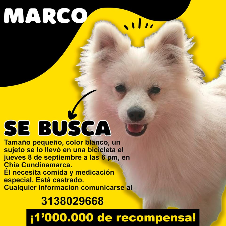 Peludos Extraviados