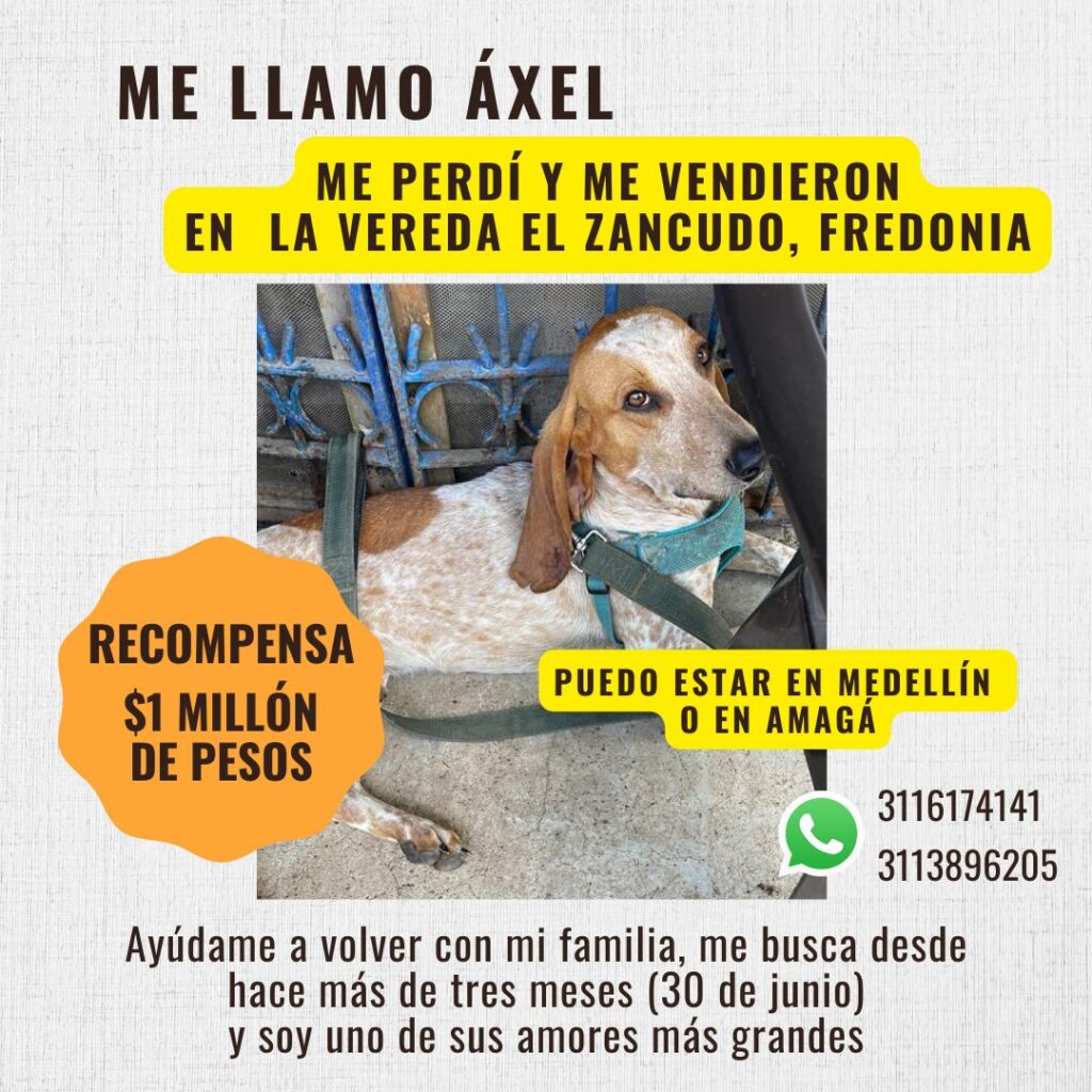 Axel