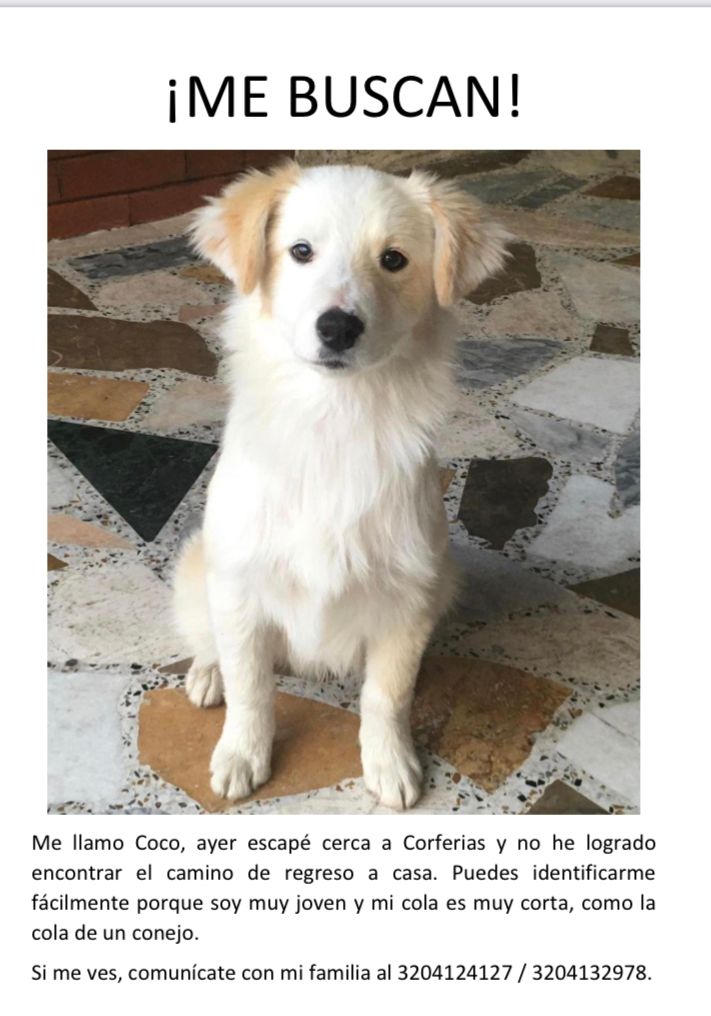 Coco