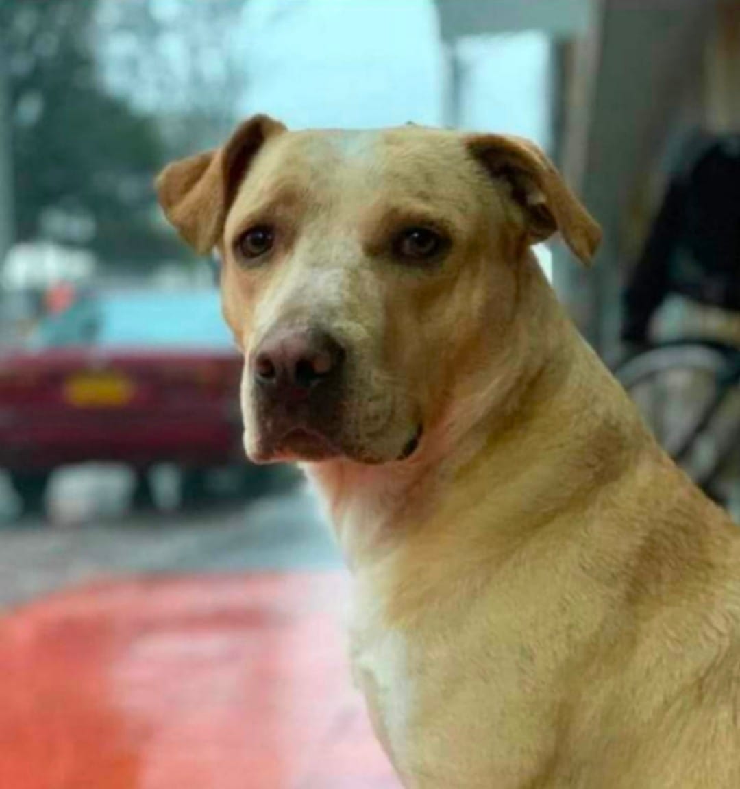 Zeus