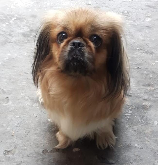 Dulce
