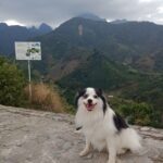 Maximiliano
